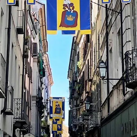 La Gatta Sui Tetti * Torino