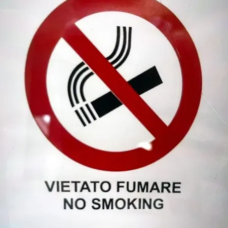 La Gatta Sui Tetti