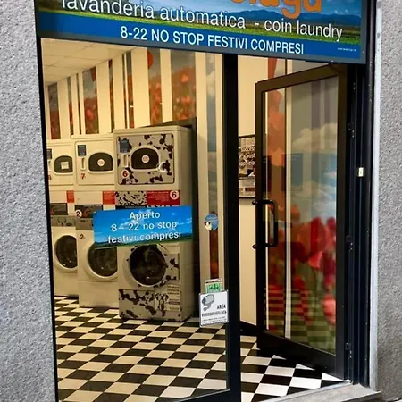 La Gatta Sui Tetti *